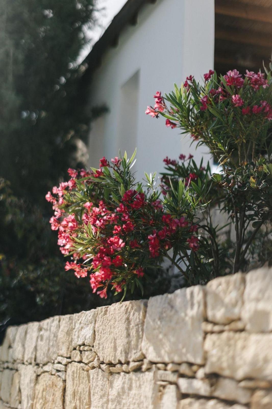 Cecilias Courtyard Guest House Malya Exterior foto